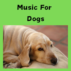 Classical Music For Dogs