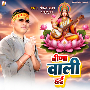 Vina Wali Hai