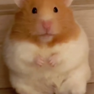 一起去追逐梦想