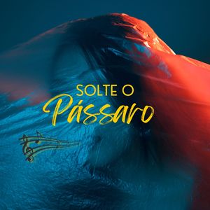 SOLTE O PÁSSARO