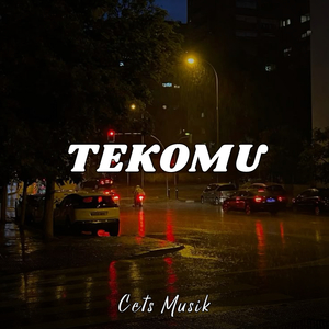 Tekomu (Cover)
