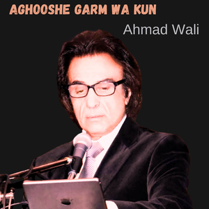 Aghooshe Garm Wa Kun