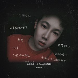 那些年，关于A-MEI的歌