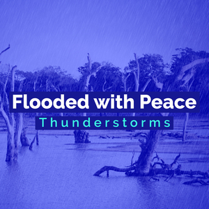 Storms Enter the Sky