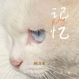 这样一只猫