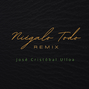 Niégalo Todo (Remix)