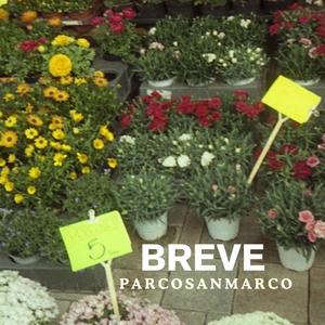 Pordenone