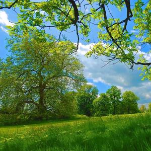 灰色的水杯子 (7)