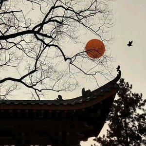剑影归途