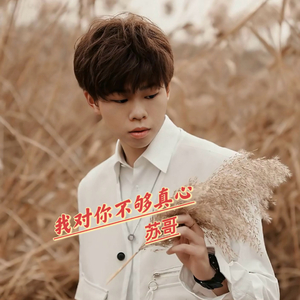 我对你不够真心