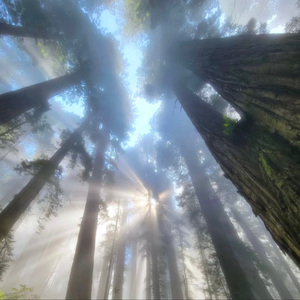 冬雪(prod by Morrow ）