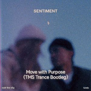 Said The Sky-Move with Purpose（TMS remix）