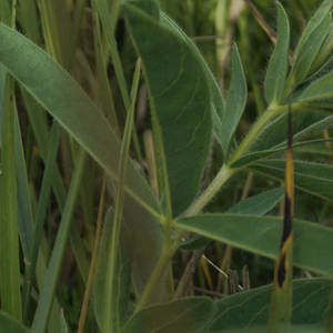 年轻不努力老了吃空气