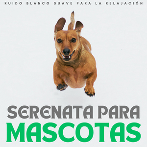 Melodía De La Lluvia Relajante