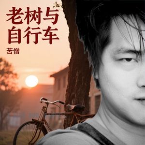 老树与自行车 伴奏