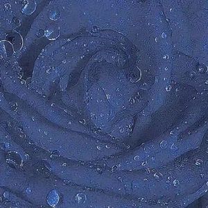 在时光中慢慢前行