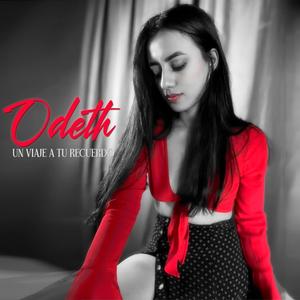 Un Viaje a tu Recuerdo