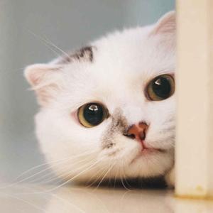 b663ae086902d9b4db1526484cf4605bc815a58b (1).m4a.