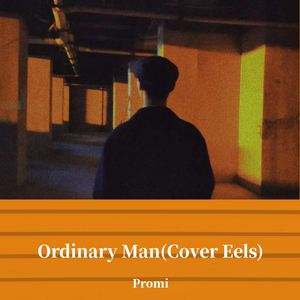 Ordinary Man