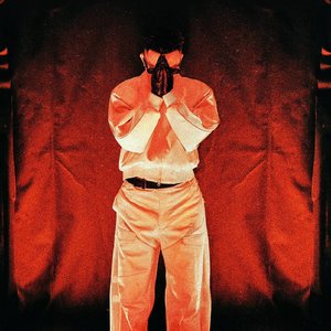 我本布衣Ai（致敬Gai）