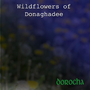 Wildflowers of Donaghadee