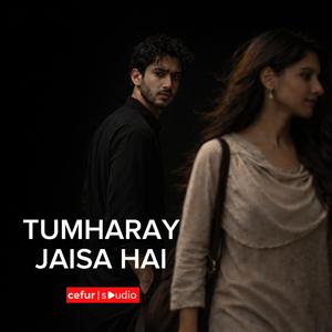 Tumharay Jaisa Tha