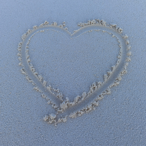 未完成的舞台剧.wav