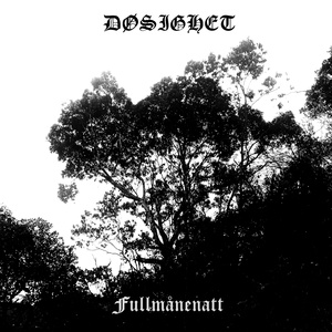 Fullmånenatt