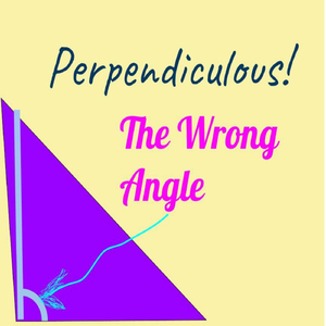 The Wrong Angle 1