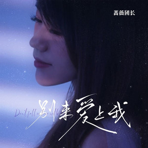 别来爱上我 (DJ默涵版)