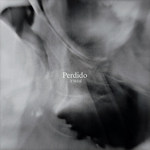 PERDIDO