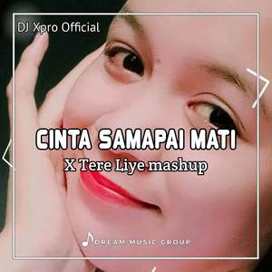 DJ Cinta Sampai Mati X Tere Liye Mashup