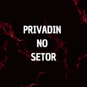 Privadin no Setor