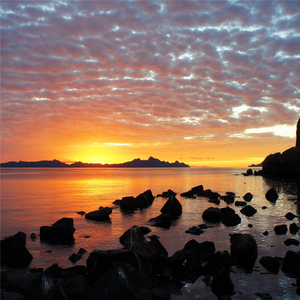 Irish Jig (For Folk Guitar)