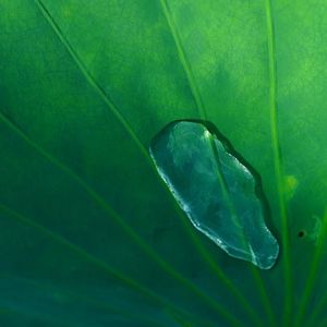 成为的过程就是目的