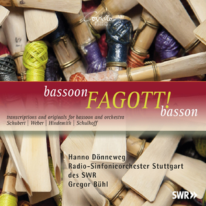 Andante e rondo ungarese for Bassoon and Orchestra, Op. 35, J. 158: II. Allegretto ungarese