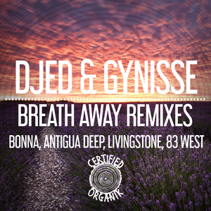 Breath Away Remixes (83 West Remix)