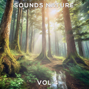 04 Sound Nature Vol.4