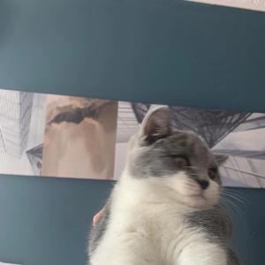 我们的歌（Demo）