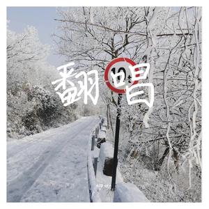 一个歌手的情书