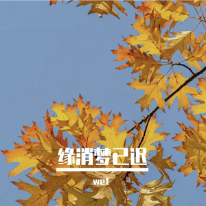 幽怀藏雅韵