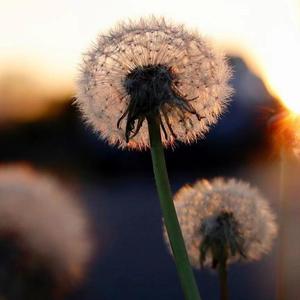 没搞可累计额 (3)