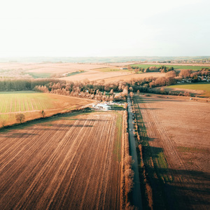 Retrato de las infancias