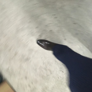 もうやけくそだ