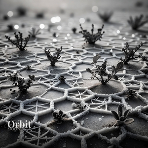 Orbit
