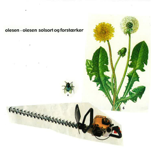 Ræk mig flasken