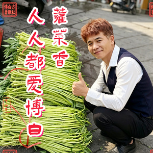 人人都爱博白蕹菜香 (博白小虎版)