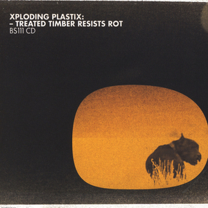 A Rogue Friend Is a Wild Beast