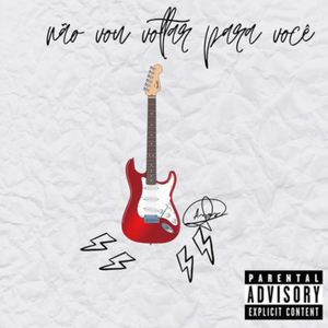 Não Vou Voltar Para Você