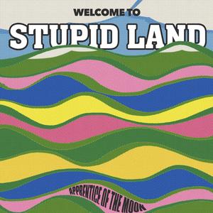Stupid Land